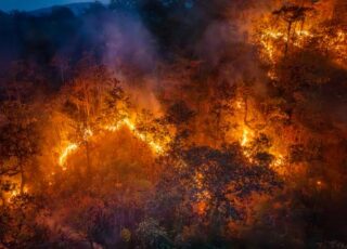 Incendies en Nouvelle-Aquitaine : Expertises Galtier mobilisé aux côtés des sinistrés